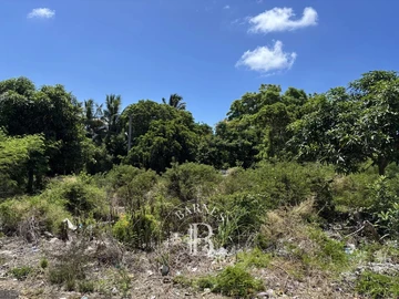 Commercial Land
