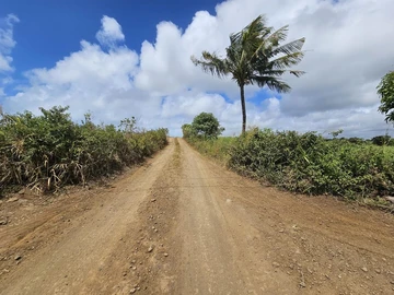 Agricultural Land