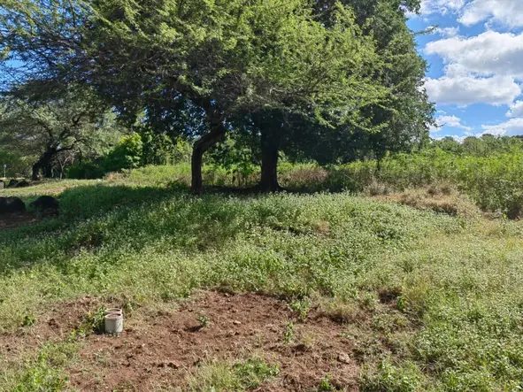 Land for Sale at Domaine Palmyre