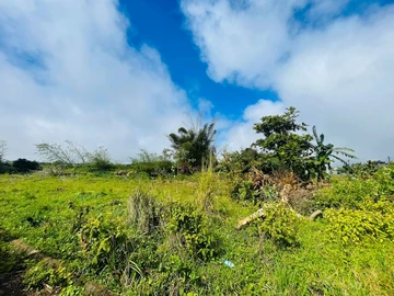 Terrain
