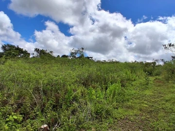 Terrain Agricole