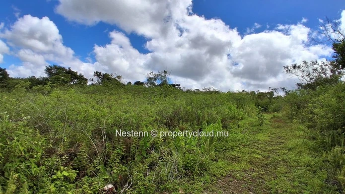 A vast plot of land, thousands of possibilities — 36,332 m² in L'Espérance