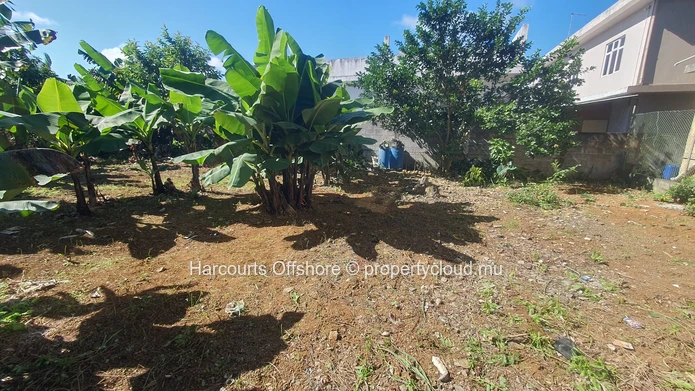Terrain 514 m² à St Pierre – bananiers, vue montagne, proche bus
