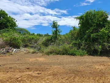 Agricultural Land