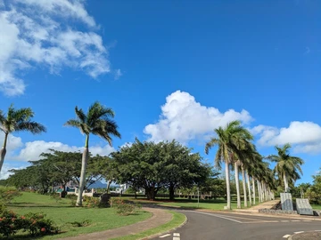 Residential Land