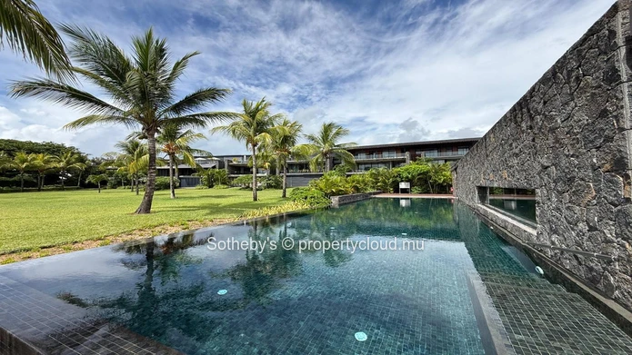 The Palmview