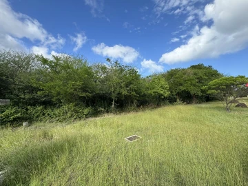 Residential Land
