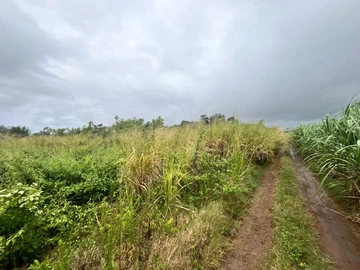 Terrain Résidentiel