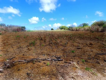 Residential Land