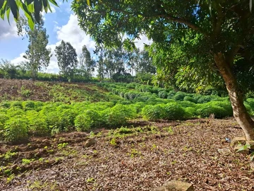 Agricultural Land