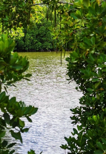 Anse La Raie - Magnificent 4-bedroom villas