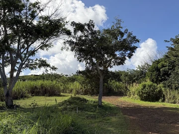 Agricultural Land