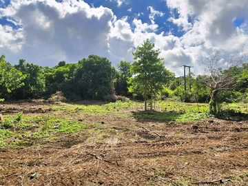 Agricultural Land