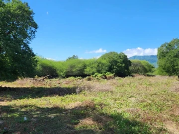 Residential Land