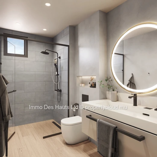 Loft en vente Pointe aux Canonniers 