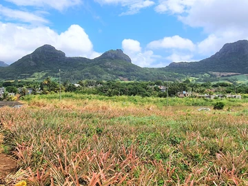 Agricultural Land