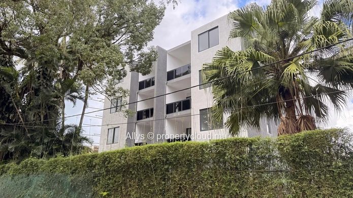 Modern Apartment 