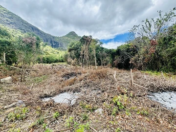 Terrain Agricole