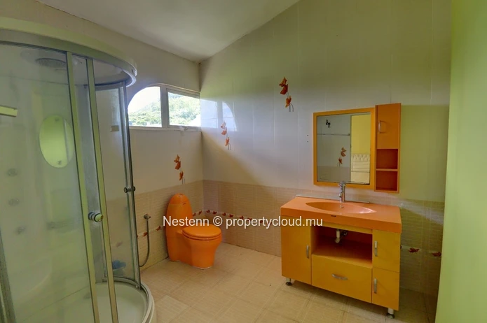 Traditional 5 bedroom house with swimming pool and garden 
