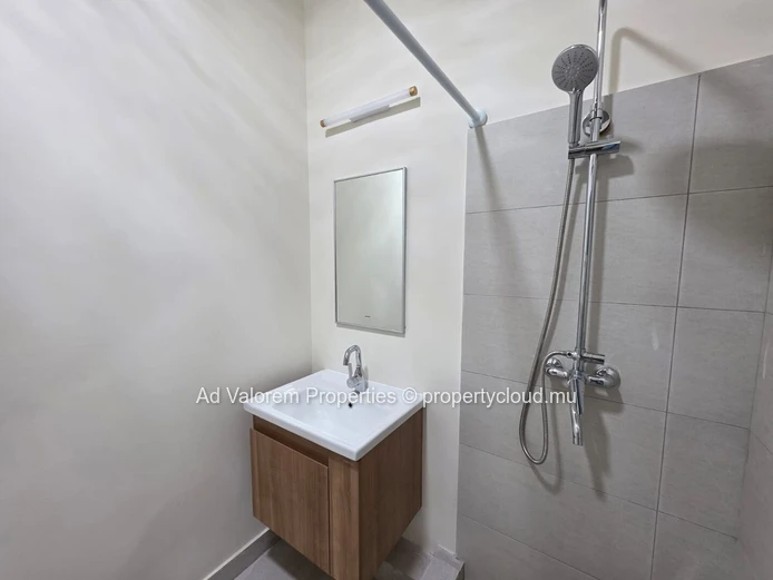 Appartement Moderne À Louer À Trianon