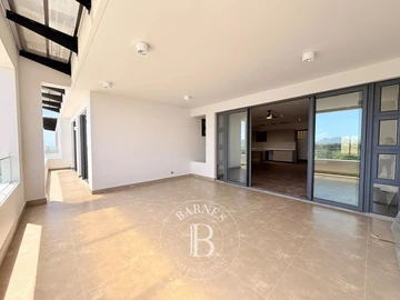 4 Bedroom Penthouse