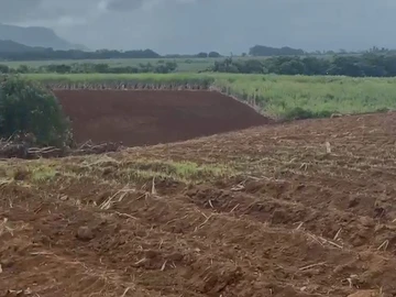 Agricultural Land