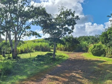 Agricultural Land