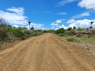 Agricultural Land