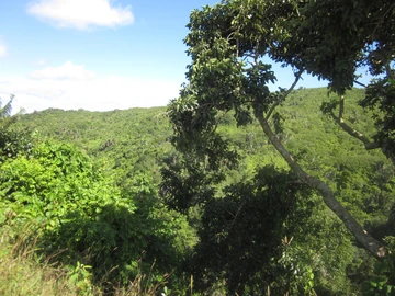 Residential Land