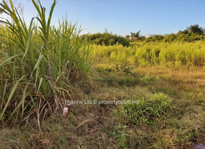 Terrain Agricole En Vente À Quartier Militaire