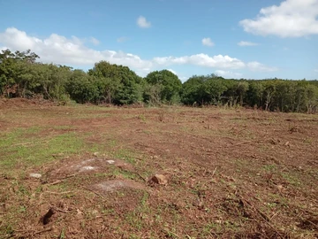 Residential Land