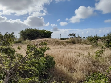 Residential Land