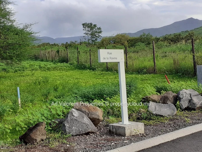 Terrain à vendre à Tamarin (Mandat exclusif)