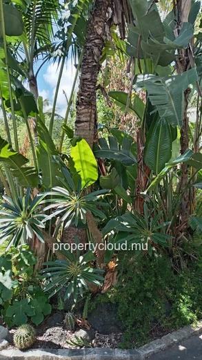 Duplex d’exception 120 m² avec jardin paysager de 170 m² à The Vale– Bien rare et atypique