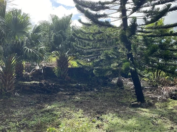 Terrain Agricole