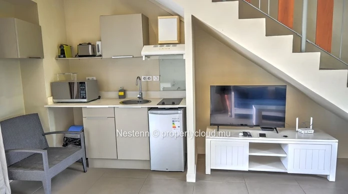 Charming duplex in an apart-hotel 
