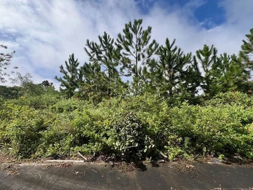 Residential Land