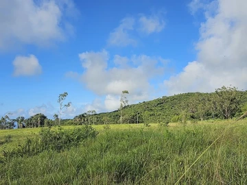 Residential Land