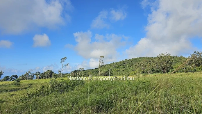 Superbe terrain résidentiel de 4 600 m² 