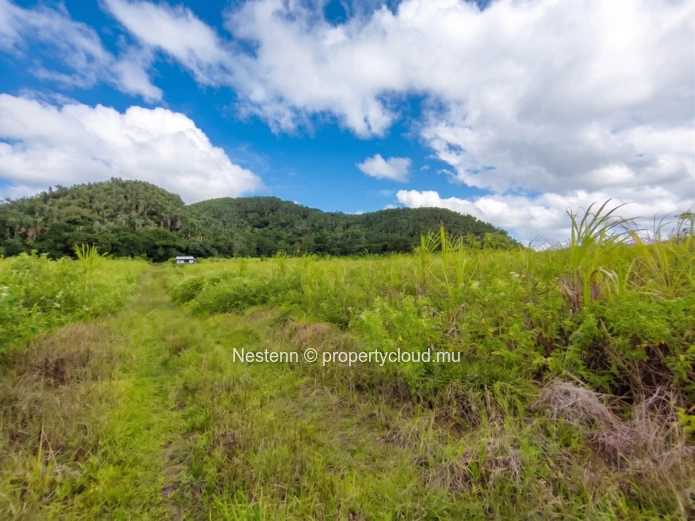 Terrain agricole et fertile de 2567.27m2