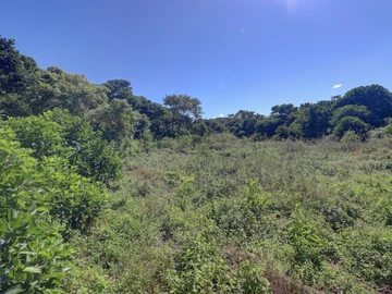 Agricultural Land