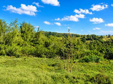 Residential Land