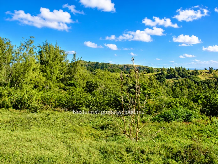  Terrain en pleine propriété de 829 m² avec vue sur mer à Trèfles – Une rare opportunité d'investissement côtier