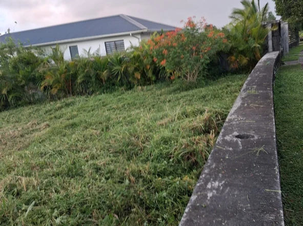 Residential Land