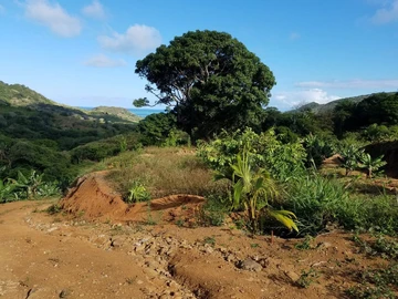 Agricultural land of 56,490m2 in Anse Jonchée