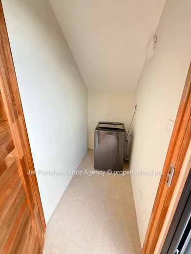 Newly built 4 bedrooms house with private swimming pool and Garden