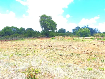 Residential Land