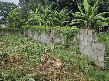 Residential Land