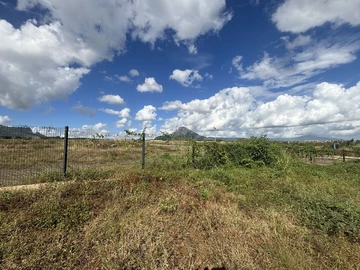 Land
