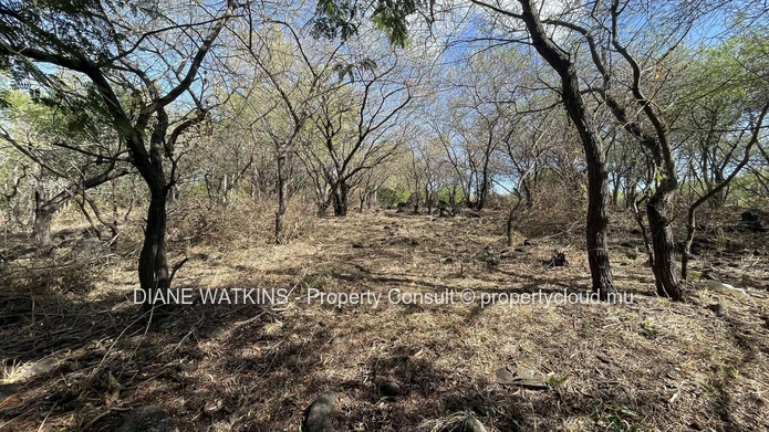 A Vendre - Terrain Résidentiel de 1700 m2 avec Vues Montagnes à Petite Riviere Noire